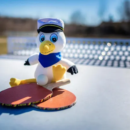 Lagovida Duenenhaus Comfort Familia D Am Stoermthaler Dom wakacyjny